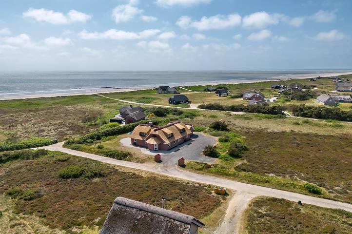 Ferieudlejning for 10 personer, med jacuzzi og sauna samt terrasse, husdyr tilladt i Blåvand