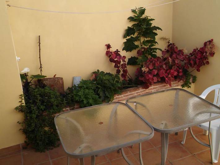 Ferienhaus für 6 Personen, mit Terrasse und Garten in Faro - 3