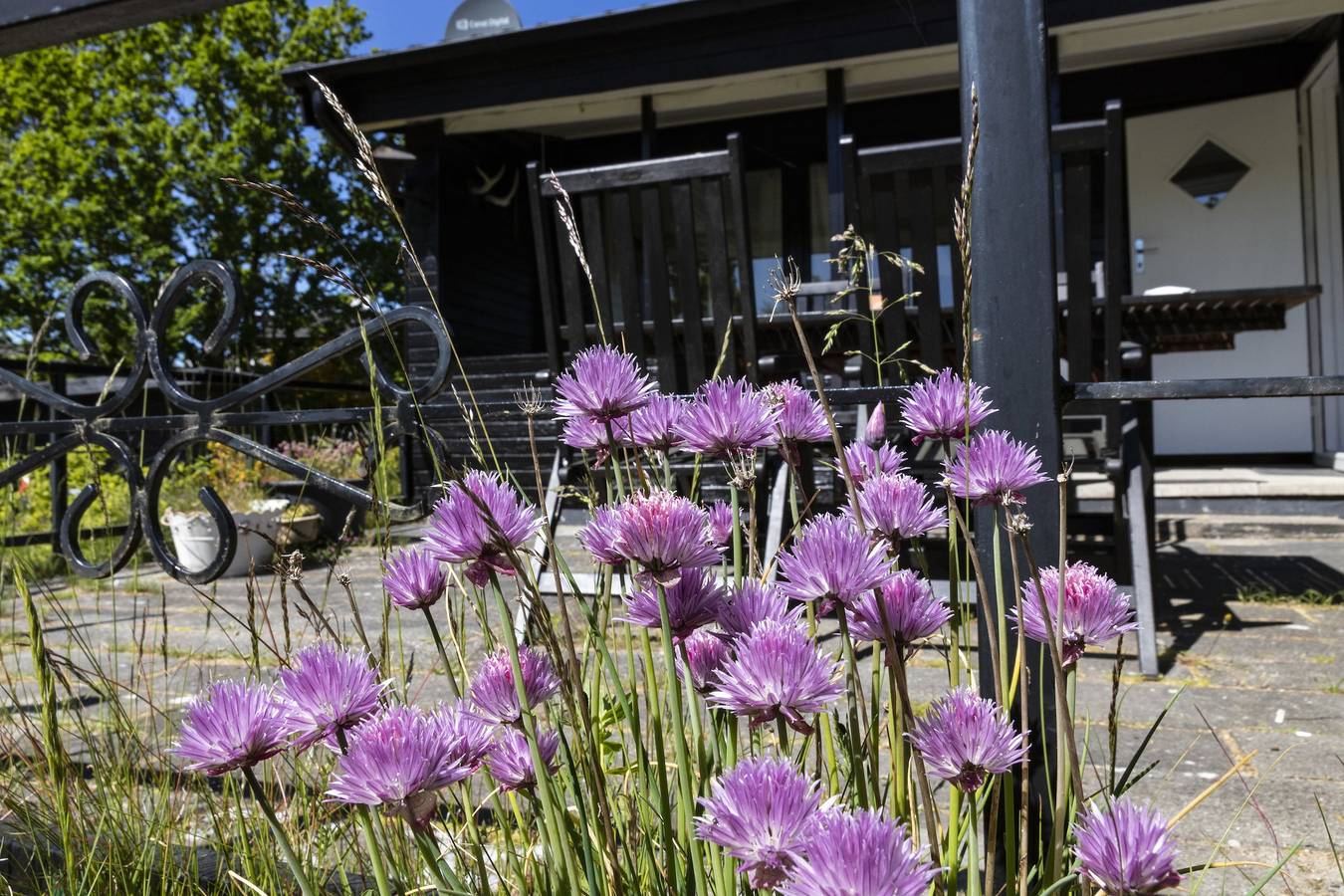 Gemütliches Ferienhaus 100 m vom Sandstrand in Fjellerup Strand, Djursland