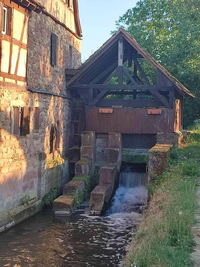Gîte pour 2 personnes, avec vue et jardin à Krautergersheim - 4