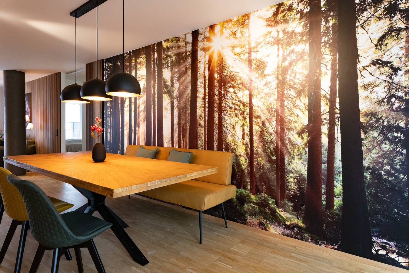 Ganze Wohnung, Ferienwohnung 'Top Of Singen' mit Bergblick, privater Terrasse und Wlan in Singen, Hegau