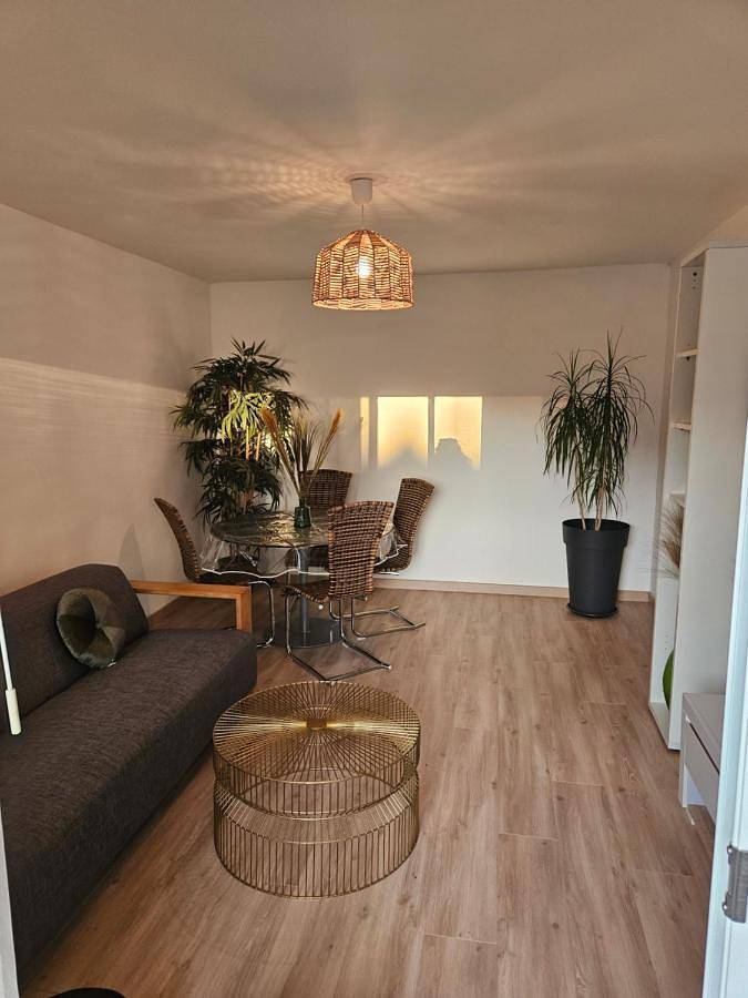 Gîte pour 3 personnes, avec terrasse à Riedisheim - 3