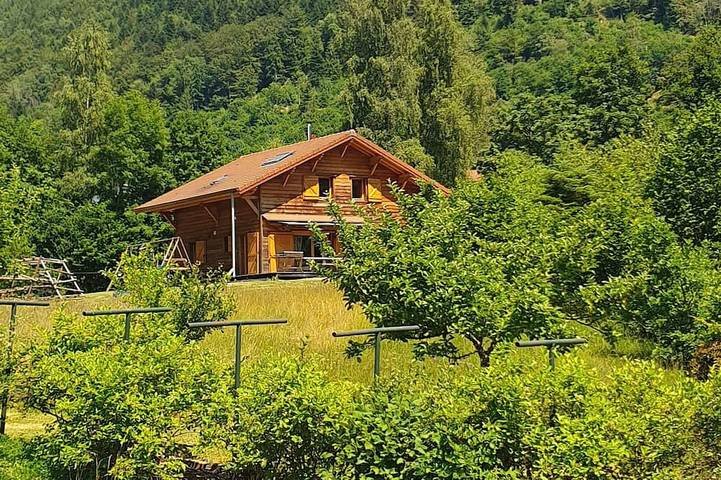 Chalet pour 12 personnes, avec jardin et terrasse - 1