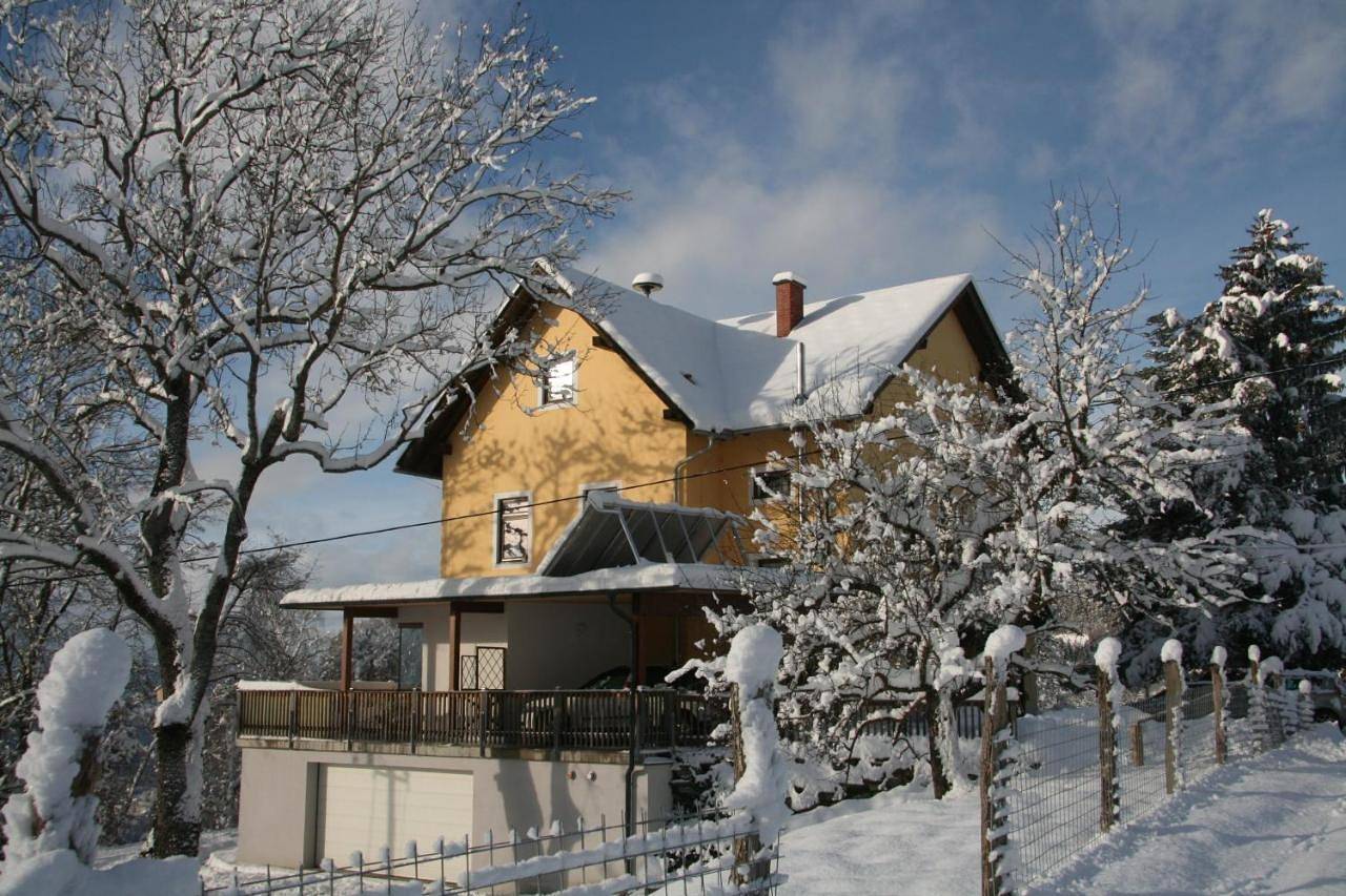 Ganze Wohnung, Alte Volksschule - schual in gradne in Liebenfels, Mittelkärnten