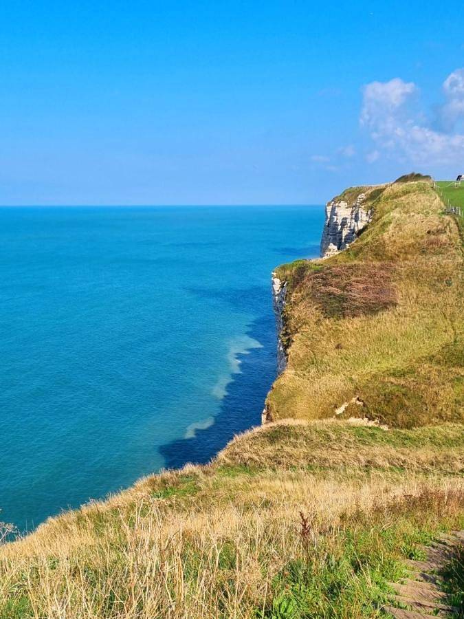 Gîte pour 4 personnes, avec terrasse et jardin à Vattetot-sur-Mer - 3