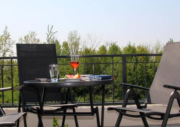 Ferienwohnung für 4 Personen, mit Sauna und Pool sowie Ausblick und Terrasse in Altjellingsdorf - 4