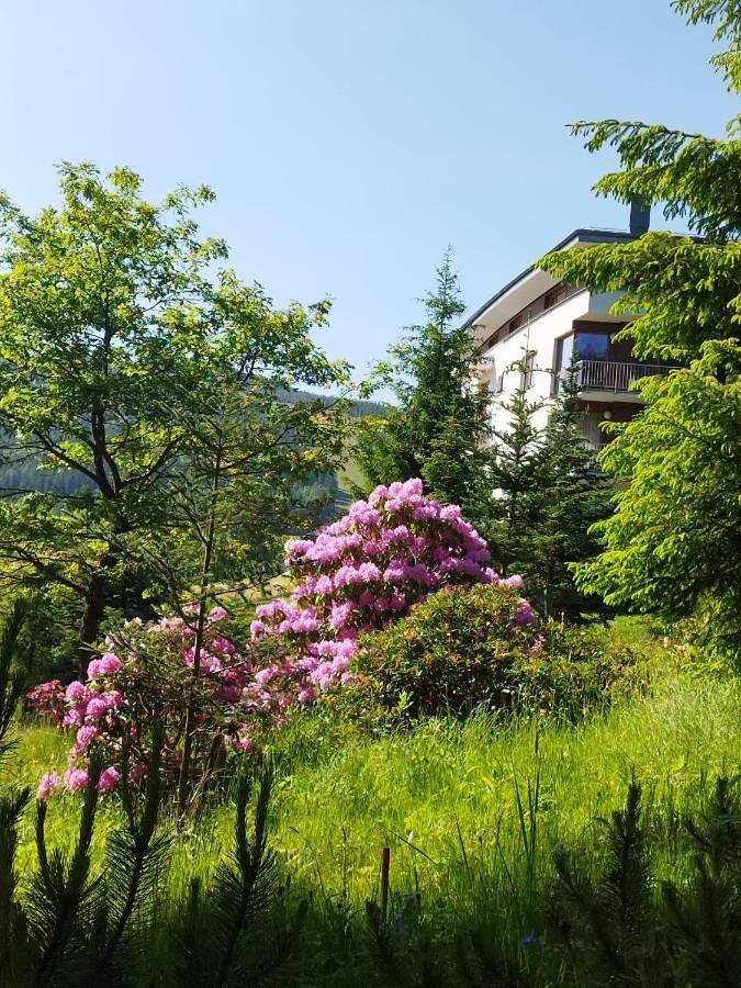 Apartament wakacyjny dla 4 osób, z balkon i basen oraz widok i sauna w Szpindlerowy Młyn