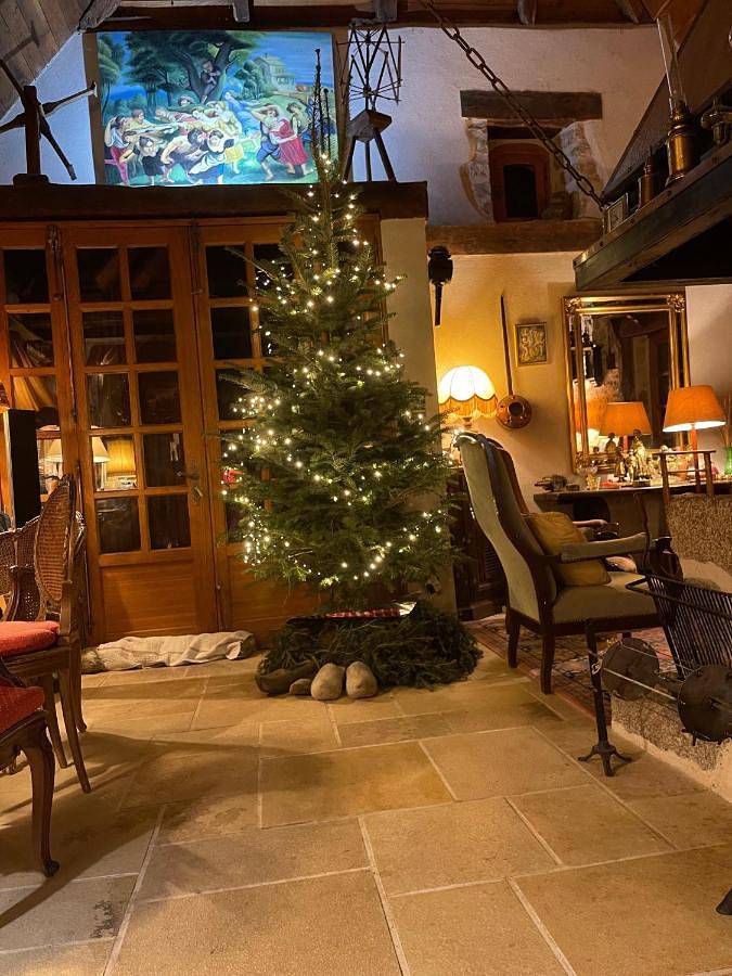 Location de vacances pour 14 personnes, avec jardin ainsi que piscine et vue, animaux acceptés à Le Nayrac - 2