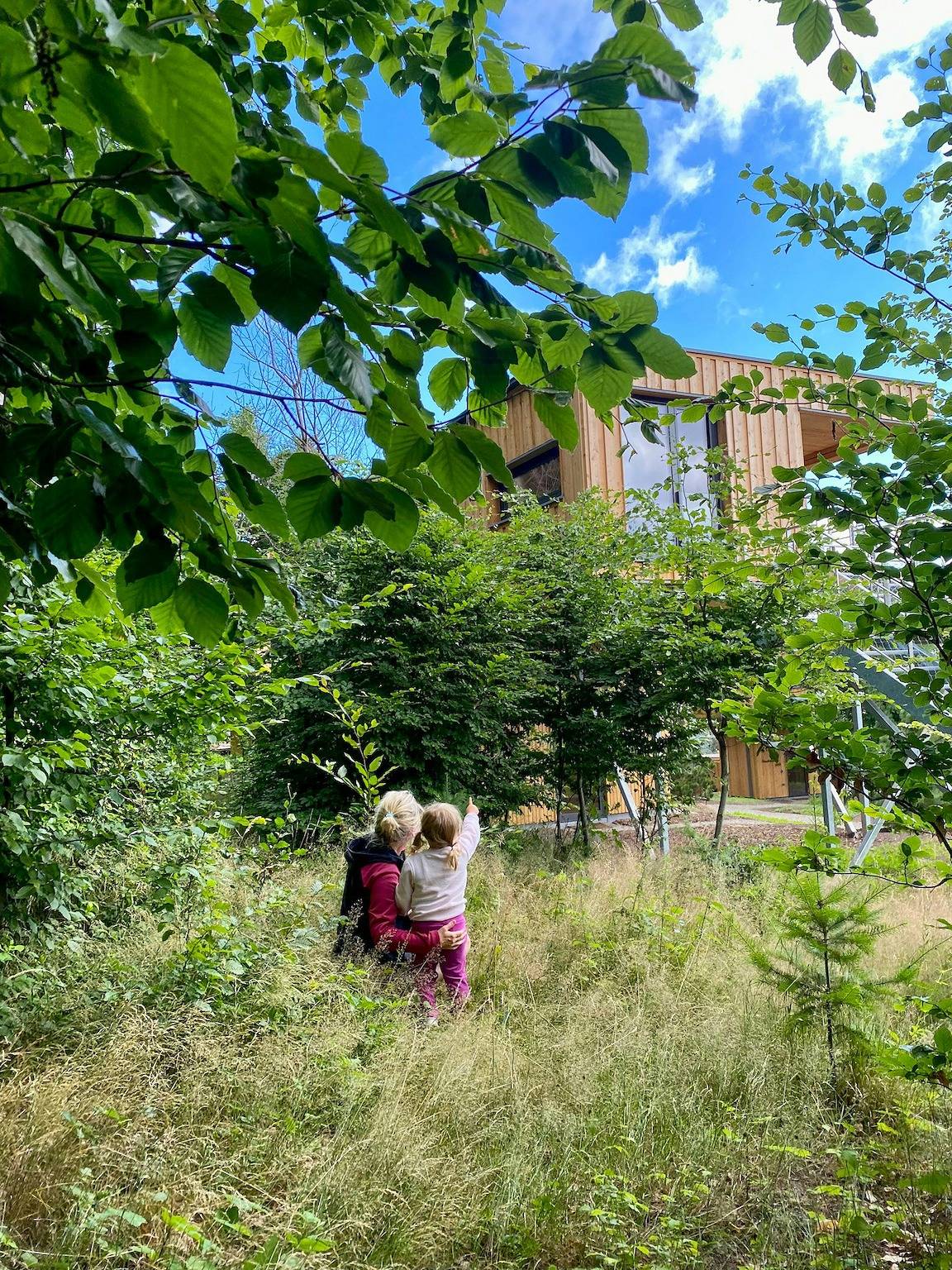 Erlebe den Nationalpark Harz vom Baumhaus aus in Ilsenburg, Harzvorland