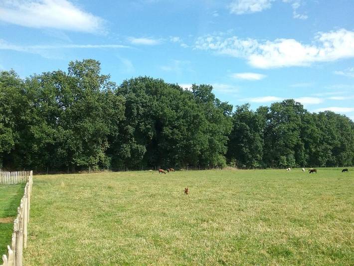 Location de vacances pour 4 personnes, avec vue et jardin à Waregem - 2