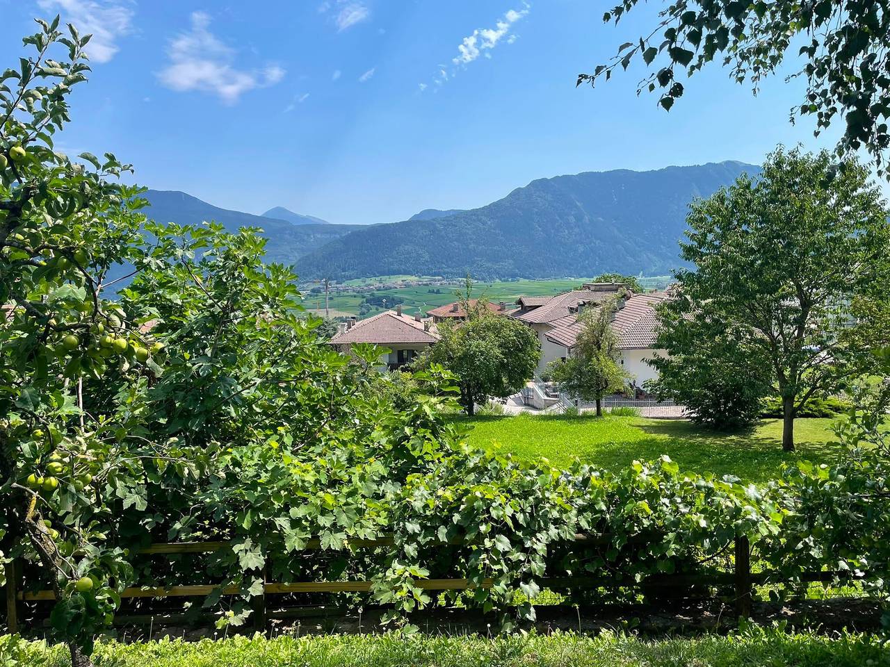 Camera Viola con vista montagna, giardino in comune e Wi-Fi in Bivedo-Larido-Marazzone, Bleggio Superiore