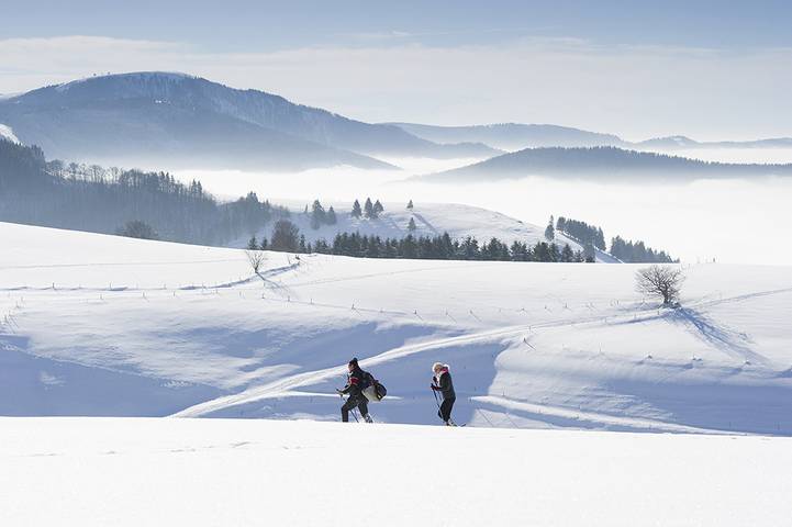 Hotel für 2 Personen, mit Balkon/Terrasse und Terrasse sowie Garten und Sauna in Münstertal - 2