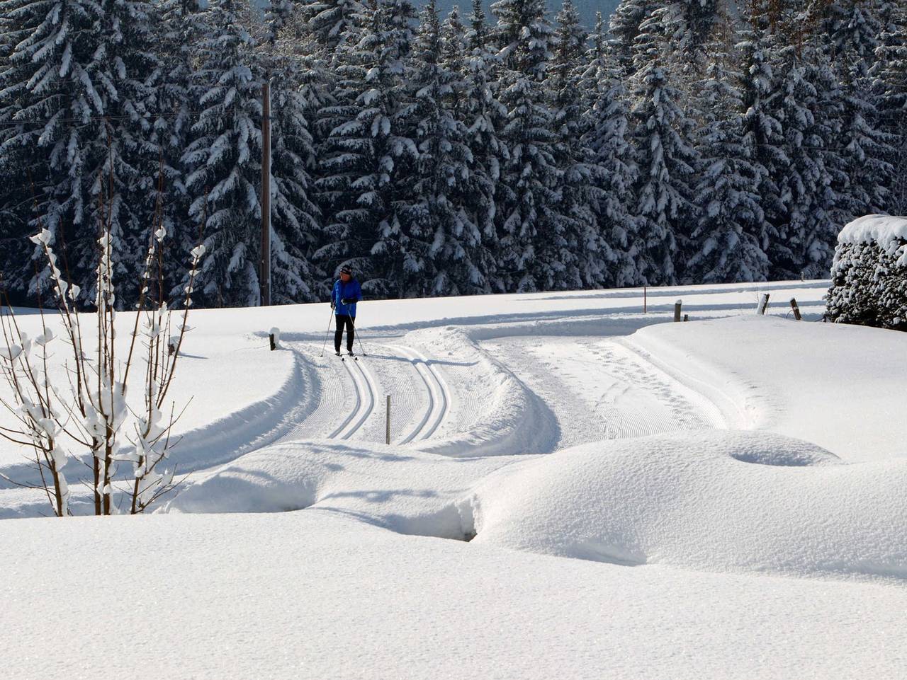 Chalets Grossmitt - Kuschel-Chalet in Pertisau, Eben am Achensee
