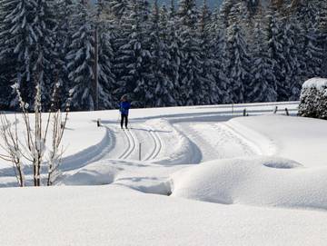 Ferienhaus für 7 Personen in Pertisau, Eben am Achensee, Bild 4