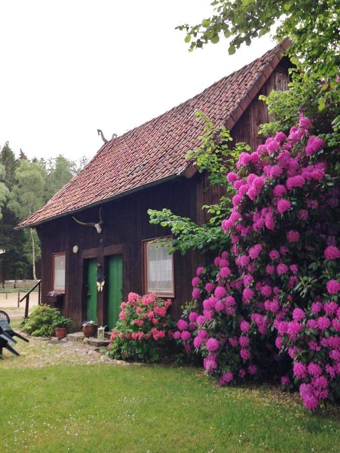Three-Bedroom House in Wietzendorf, Landkreis Heidekreis