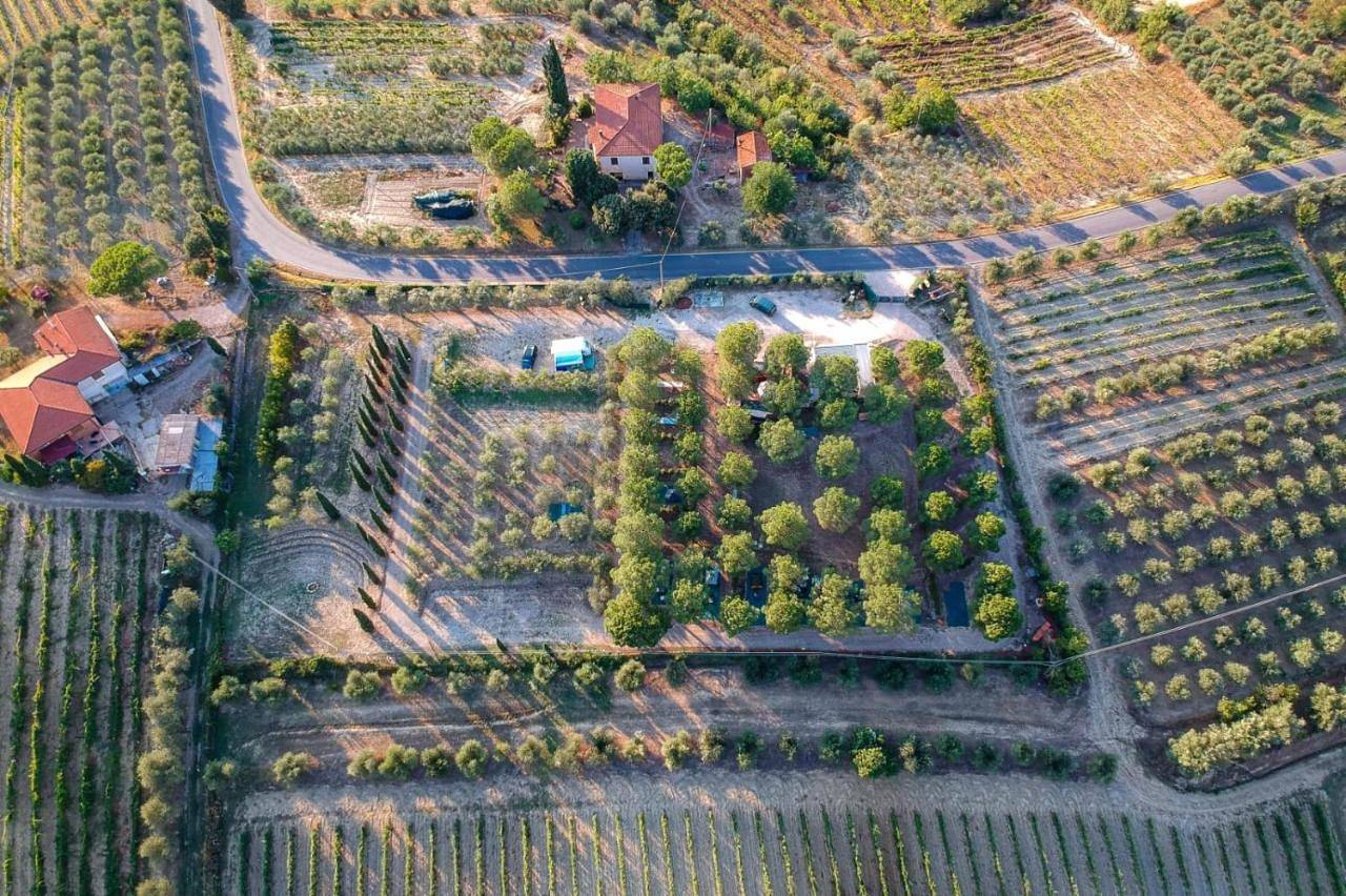 Agricamping Poggio Ai Pini Wine Camping in Certaldo, Chianti