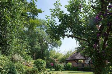 Cottage for 6 People in Copythorne, New Forest National Park, Photo 2