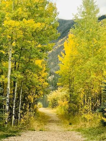 Cottage for 6 Guests in Grand Lake, Rocky Mountain National Park, Picture 3