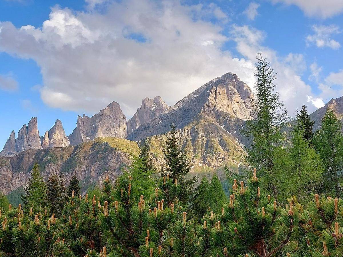Appartamento intero, La tana del Lupo in Falcade, Dolomiti Superski