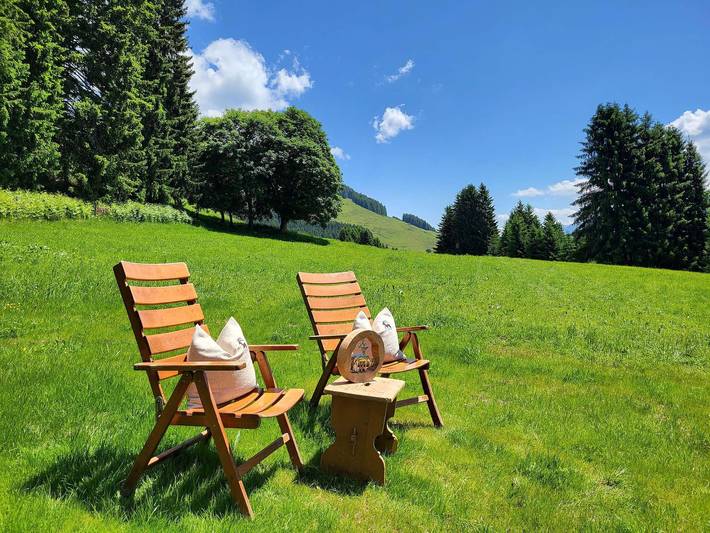 Hütte für 7 Personen, mit Garten, mit Haustier im Salzburger Land - 2