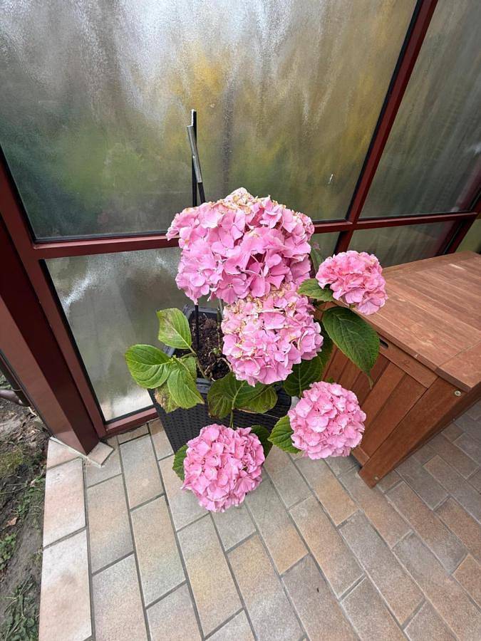 Ferienhaus für 8 Personen, mit Terrasse und Garten sowie Ausblick in Ückeritz - 3