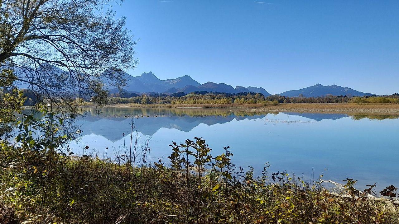 Ganze Ferienwohnung, Ferienwohnung für 4 Personen (68 m²) in Rieden am Forggensee in Rieden, Bayerisch Schwaben