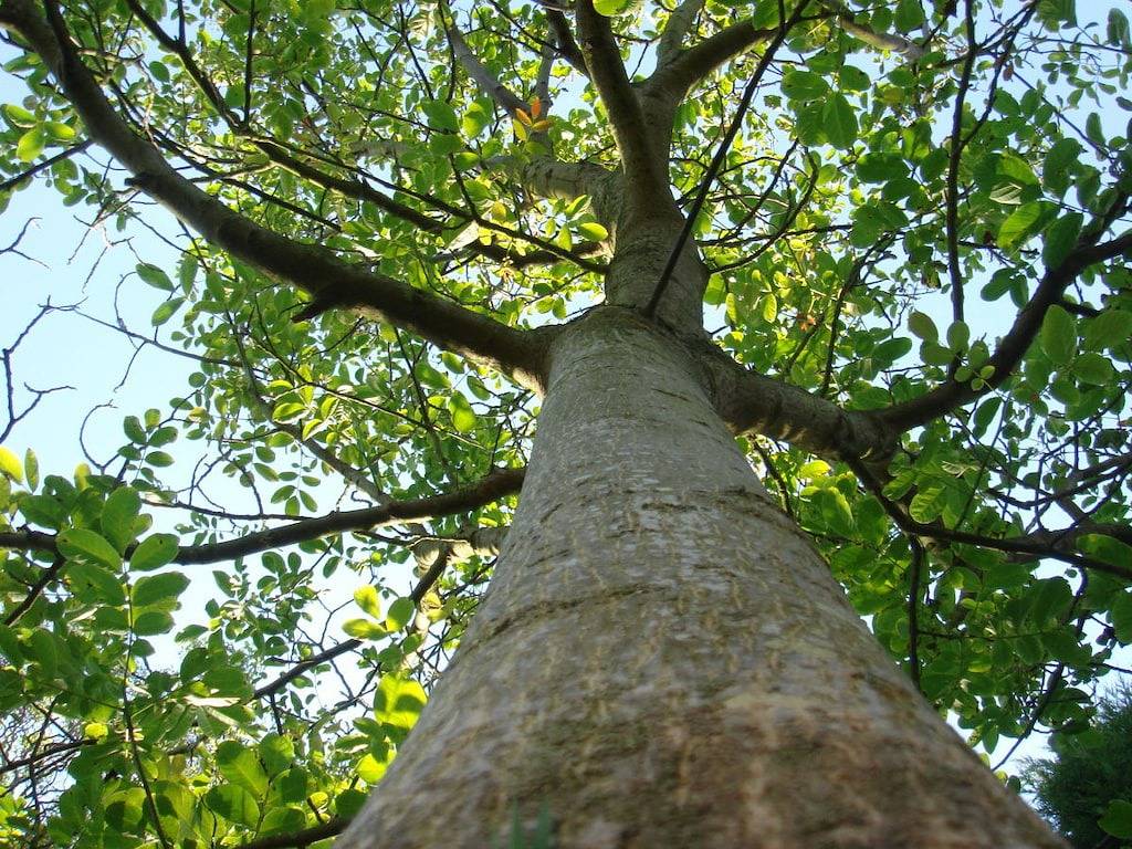 Ouddorp aan Zee in Ouddorp, Goeree-Overflakkee