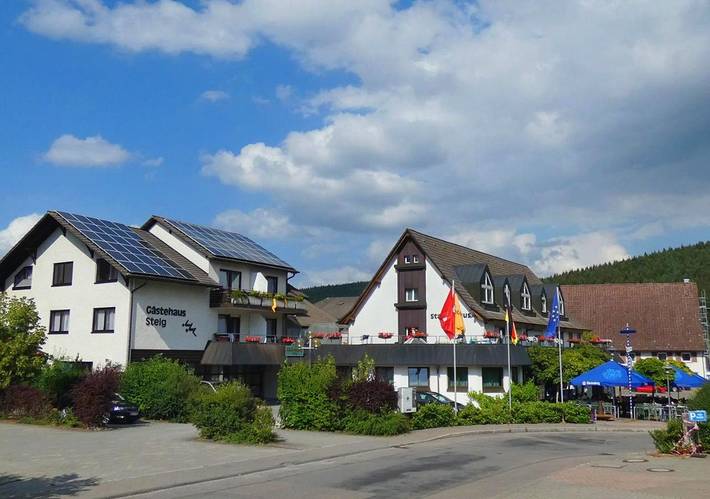 Hôtel pour 2 personnes, avec terrasse et vue, animaux acceptés à Geisingen - 3