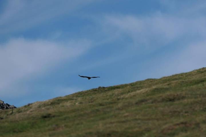 Location de vacances pour 2 personnes à Aldudes - 3