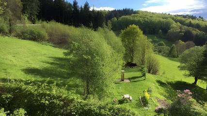 Ferienwohnung für 4 Personen in Sasbachwalden, Mittlerer Schwarzwald, Bild 2