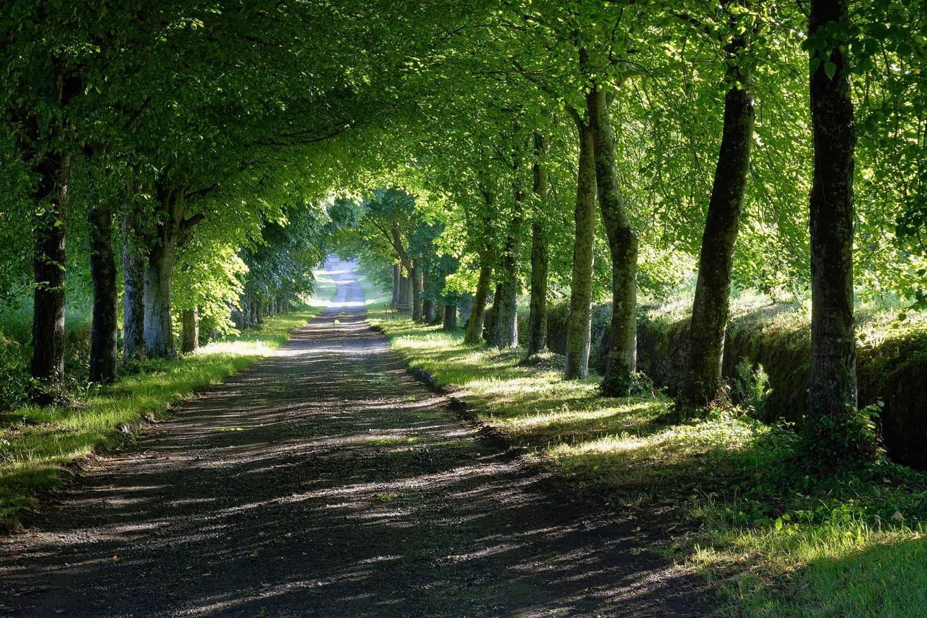 Manoir de Kerhir in Trédarzec, Côte de Granit Rose
