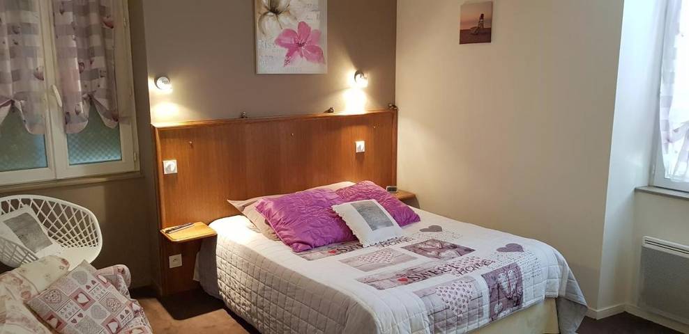 Hôtel pour 3 personnes, avec vue et terrasse, animaux acceptés à Martizay - 3