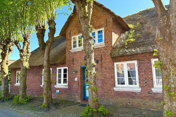 Ferienhaus für 6 Personen, mit Sauna und Garten, mit Haustier auf Föhr