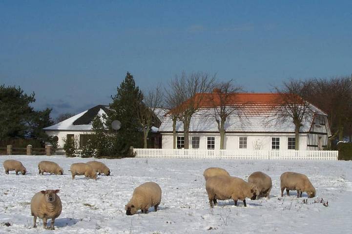 Bauernhof für 4 Personen, mit Terrasse und Garten in Fuhlendorf