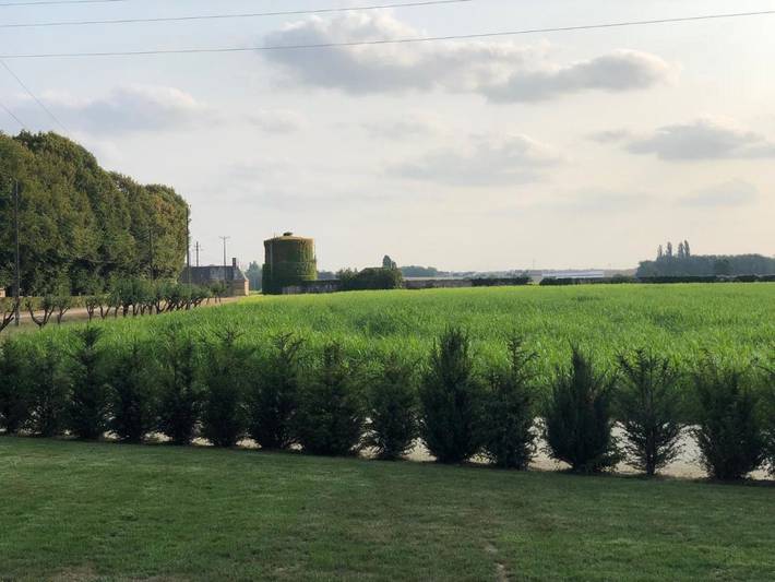 Location de vacances pour 14 personnes, avec vue et jardin à Azay-sur-Cher - 4