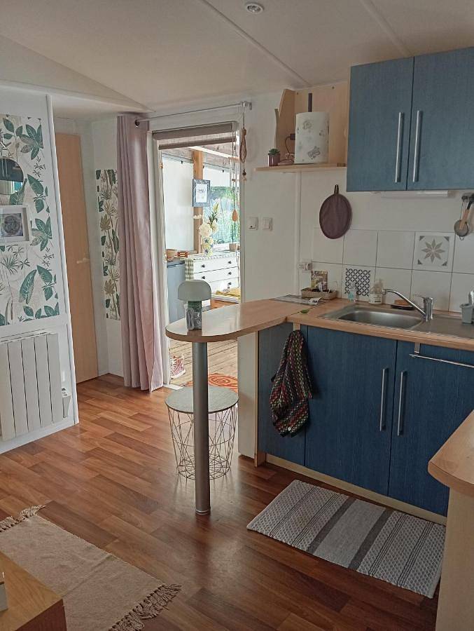Mobil-home particulier ds camping 3 etoiles in Moutiers-les-Mauxfaits, Vendée