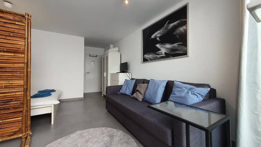 Gîte pour 4 personnes, avec terrasse à Carrapateira - 4