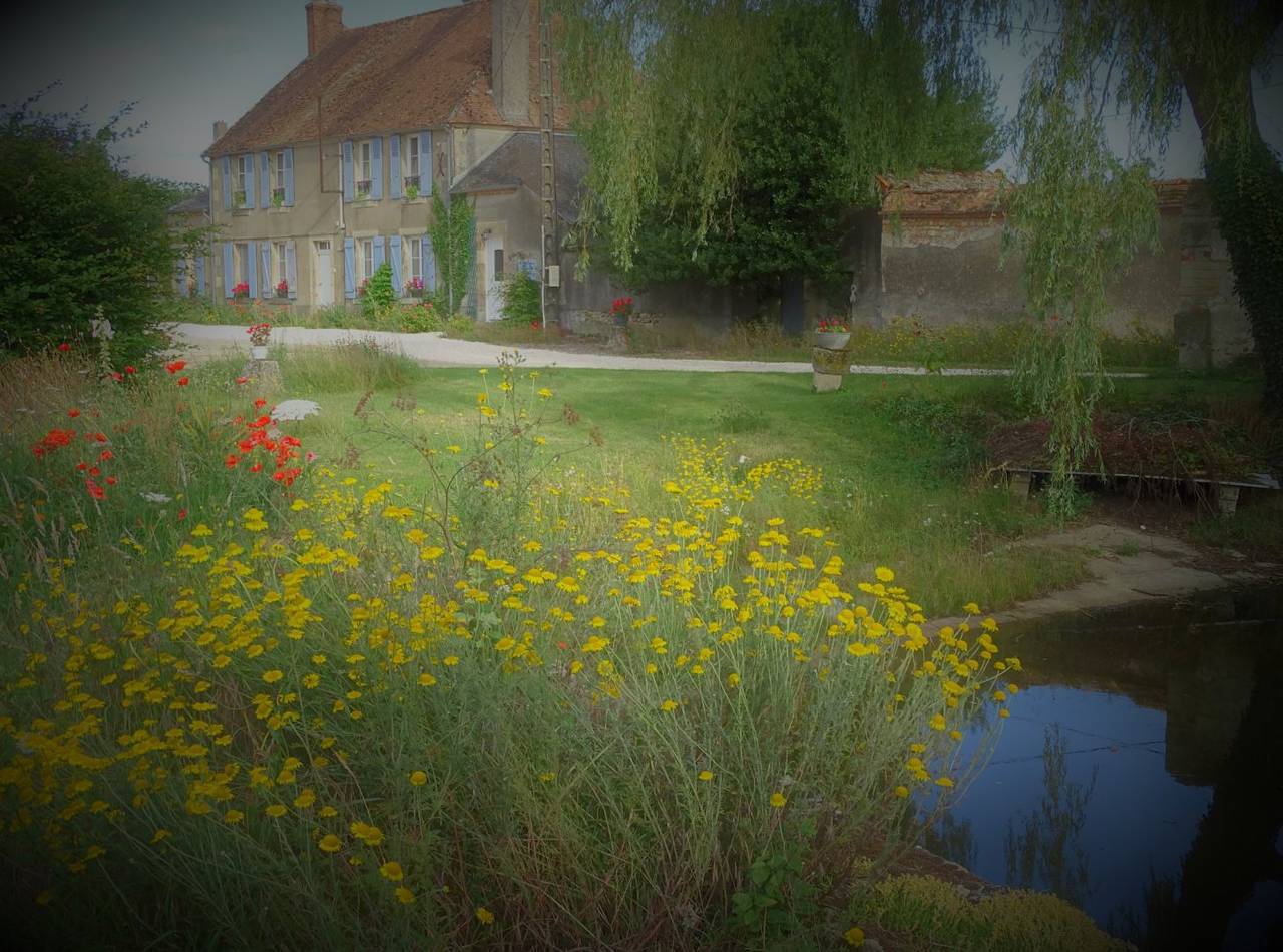 Gite la Tourpimpeau in Alligny-Cosne, Vallée de la Loire