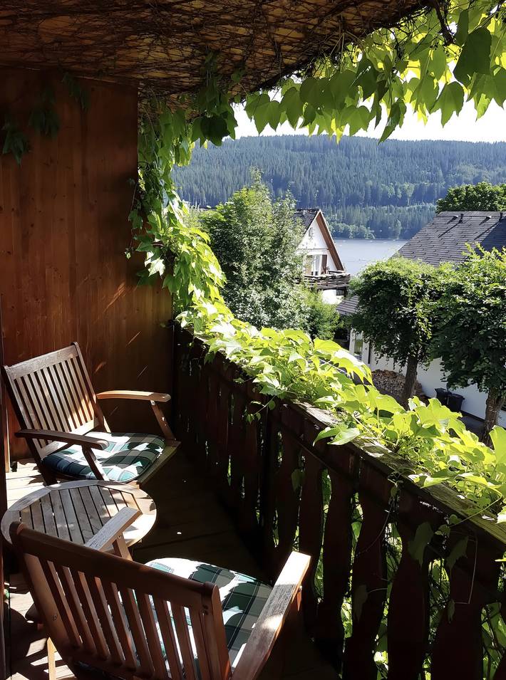 Ferienwohnung für 2 Personen, mit Balkon und Seeblick, mit Haustier in Titisee-Neustadt - 3