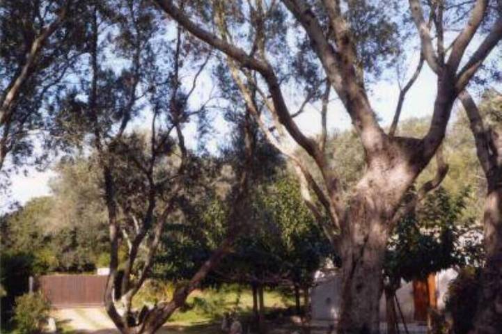 Ferienhaus für 4 Personen, mit Terrasse und Garten in Bonifacio