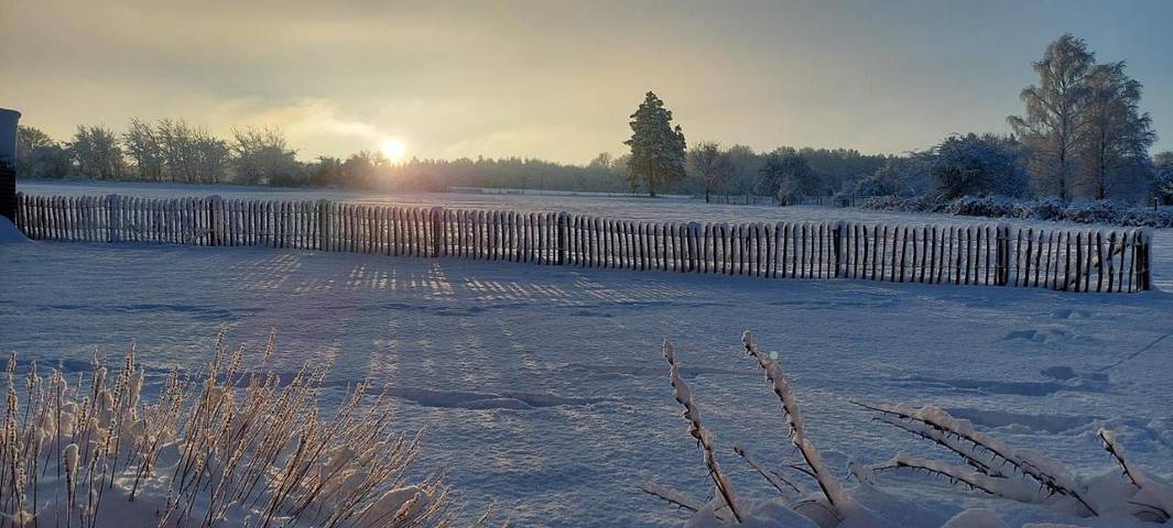 Chambre d’hôte pour 4 personnes, avec jardin à Theux - 2
