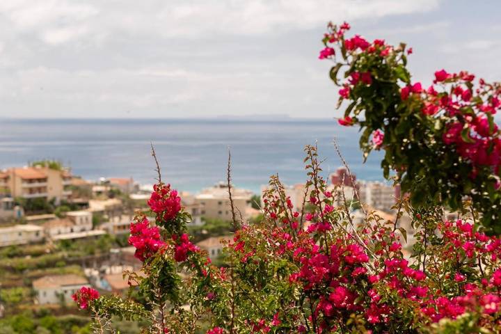 Gîte pour 5 personnes, avec jardin et vue, adapté aux familles à Himarë - 4