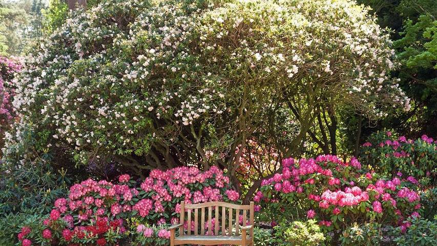Ferienwohnung für 5 Personen in Westerstede - 3