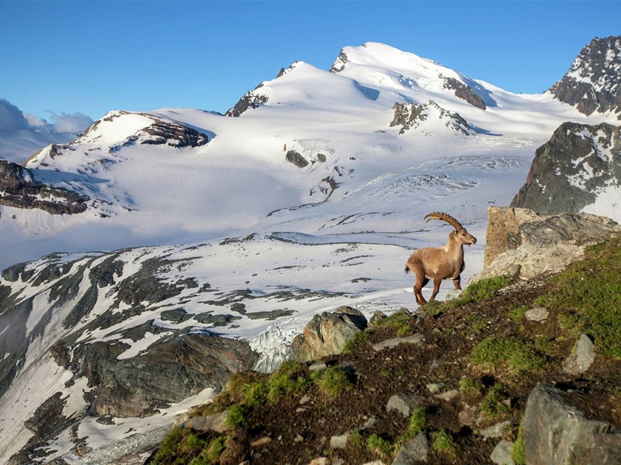 Wooden chalet in Betten near the Aletsch Arena in Betten, Aletsch Arena