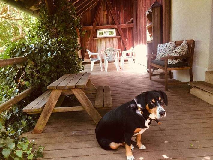 Ferienhaus mit 1 Schlafzimmer in Wutach, Südschwarzwald
