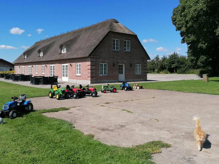 Gîte pour 4 personnes, avec terrasse ainsi que vue et jardin à Billund - 2