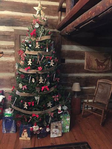 Vacation House for 5 Guests in Tennessee, USA, Picture 1