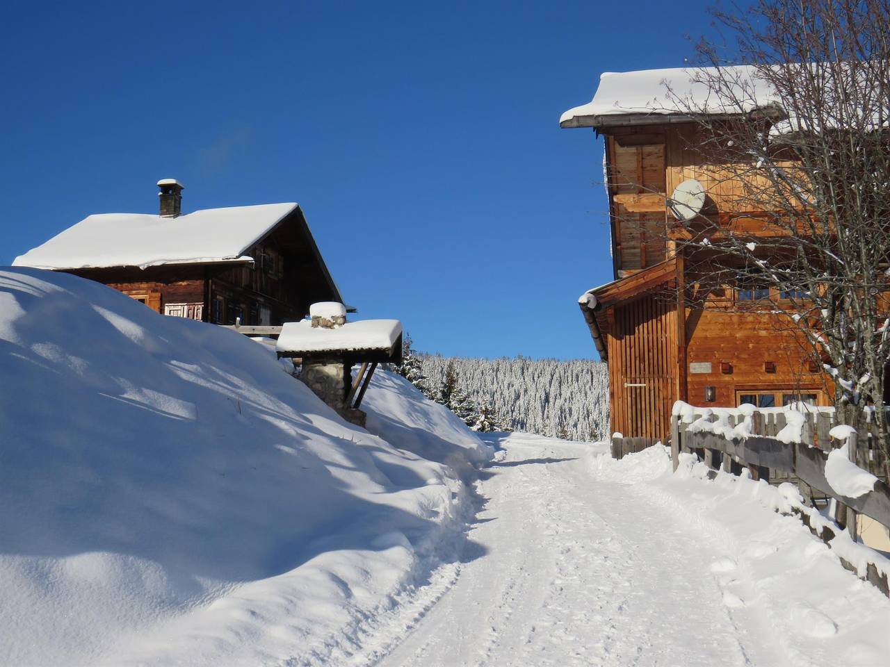 Hohlriederalm in Wildschönau, Monti del Kaiser
