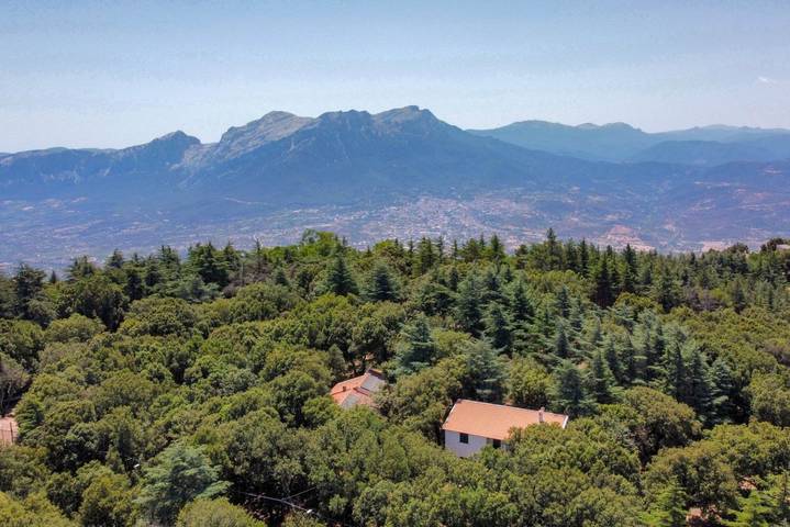 Appartamento vacanze per 2 persone, con giardino, con animali domestici - 1