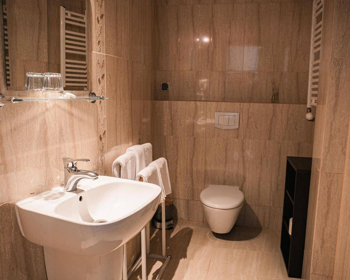 Double or Twin Room in Rybnik, Śląsk